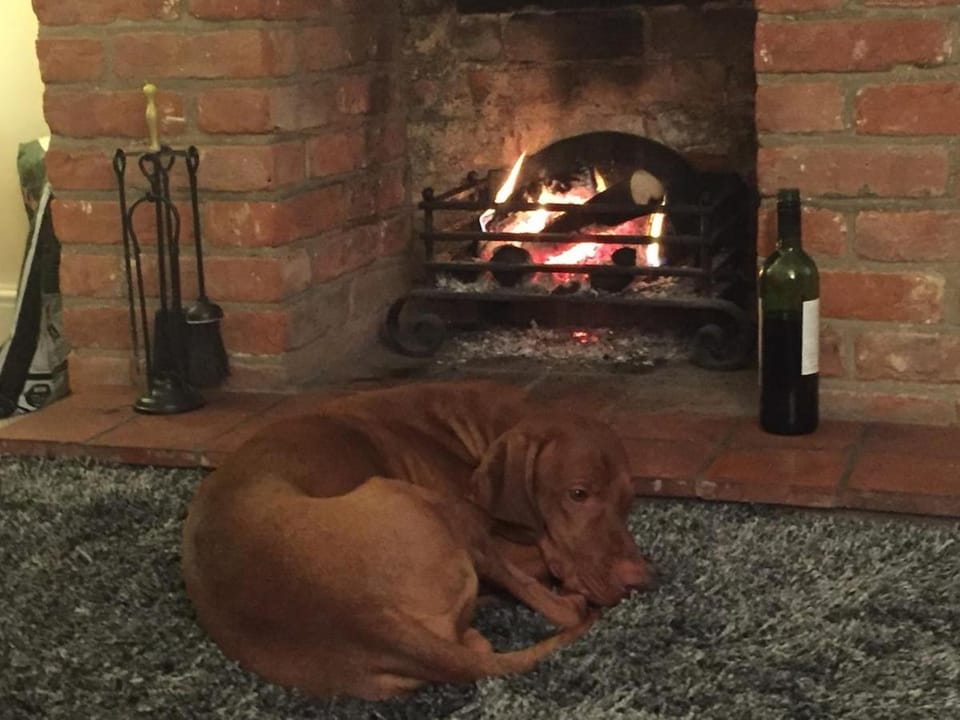 Pollywiggle Cottage, Dog Friendly cottage in Heacham House in Heacham