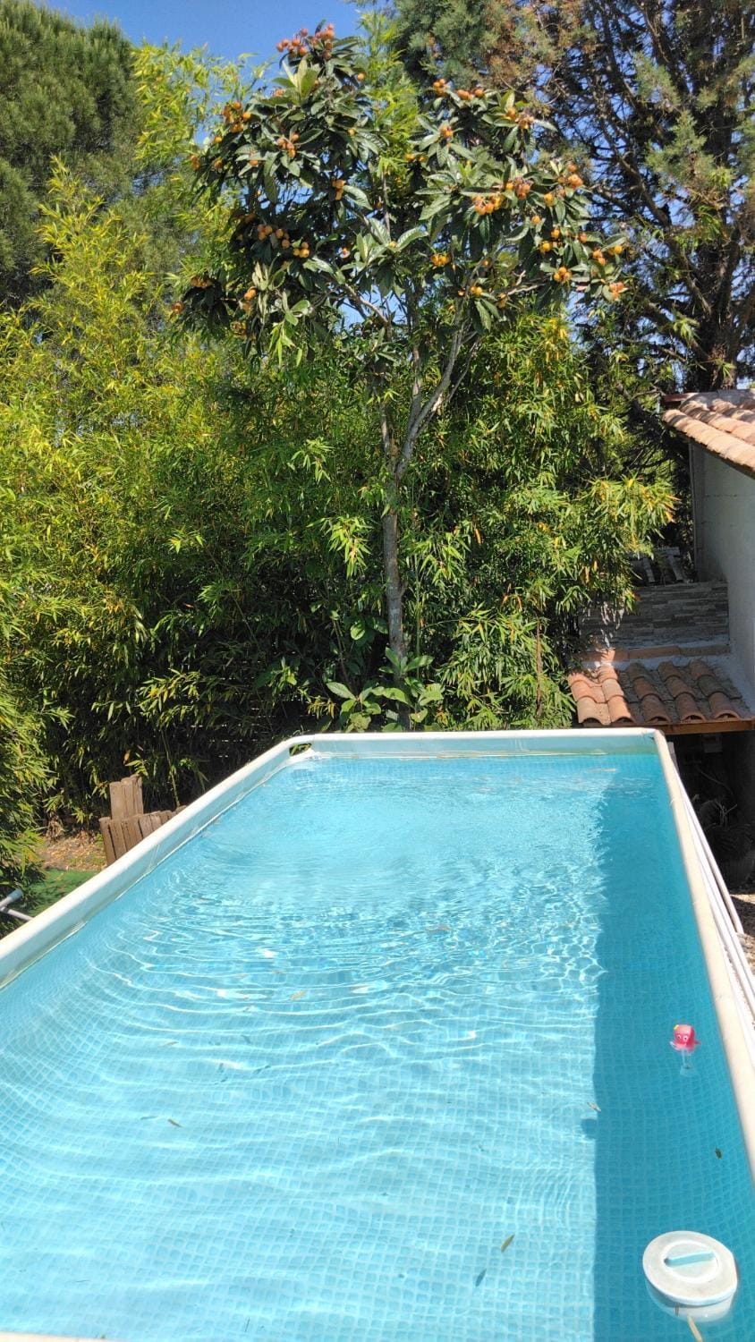 Pool view