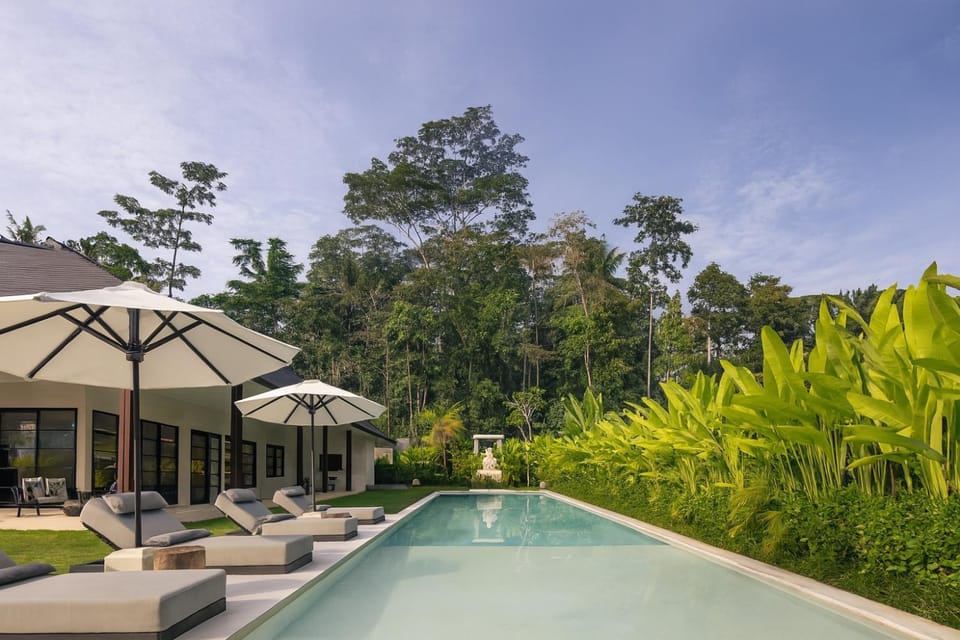 Property building, Day, Natural landscape, Garden view, Swimming pool, sunbed