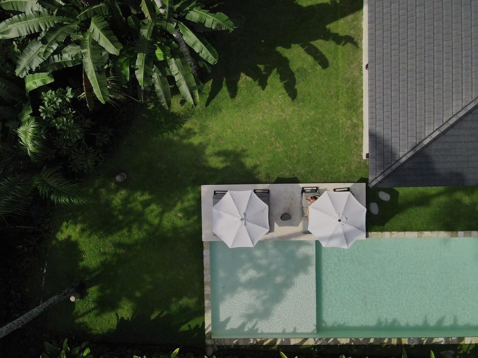 Day, Garden view, Swimming pool, sunbed