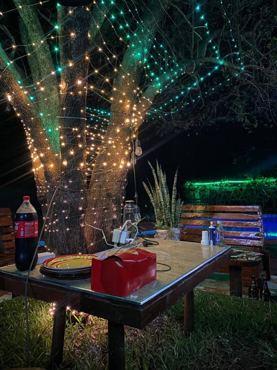 Restaurant/places to eat, Night, Breakfast