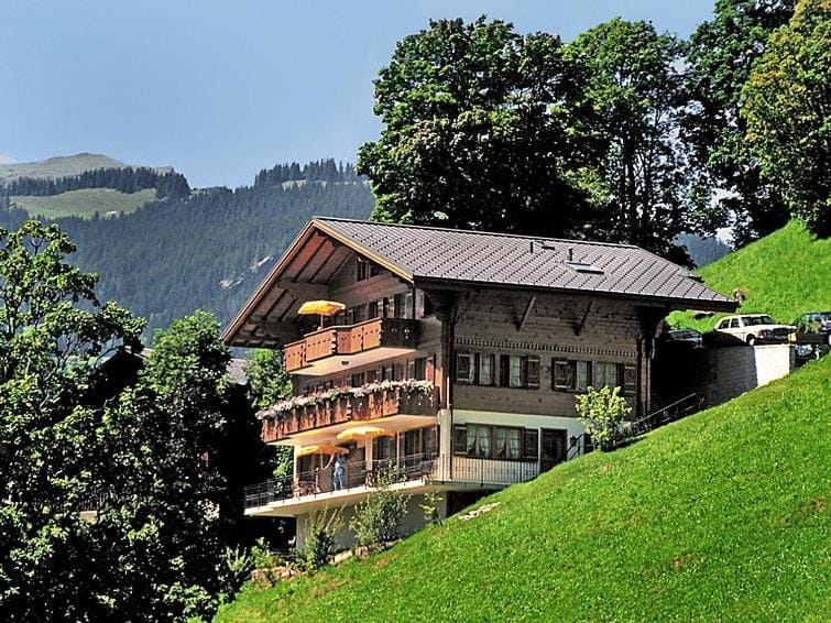 Apartment Aphrodite West magnificent Eiger view Apartment in Grindelwald