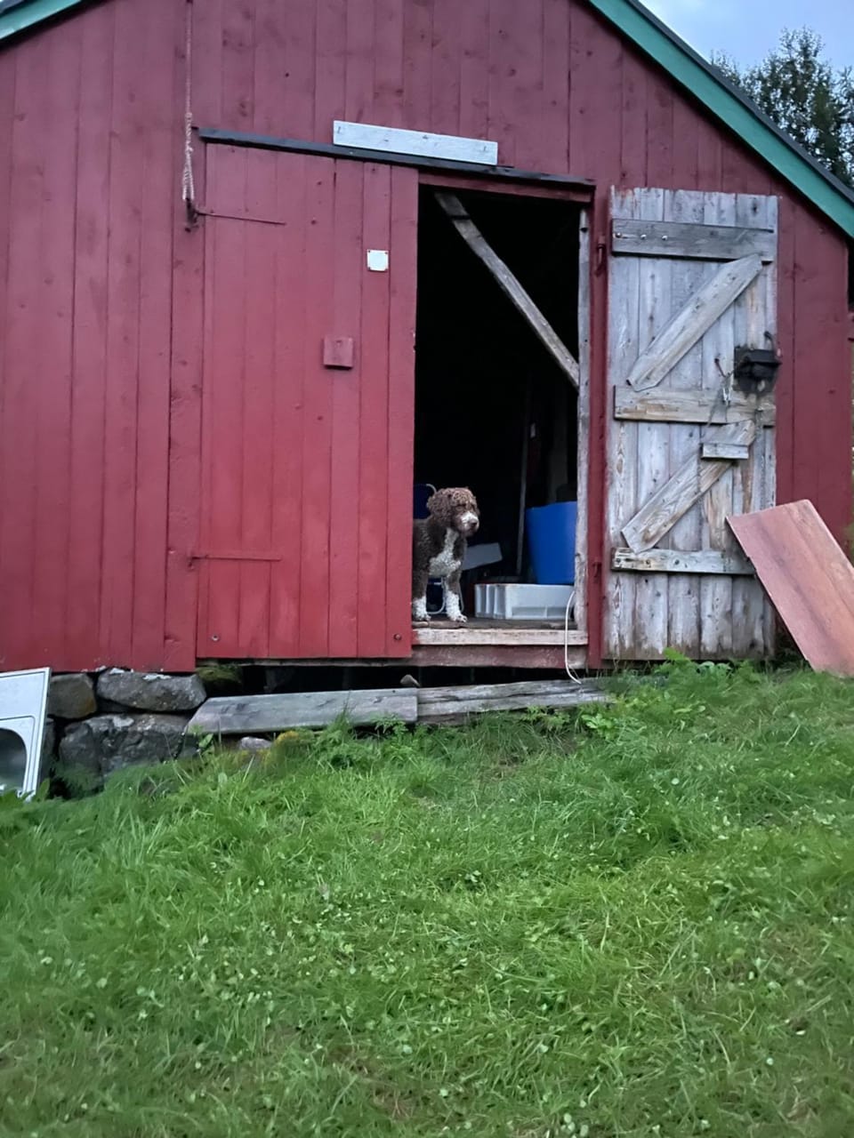 Hanøya- Vesterålen House in Lofoten