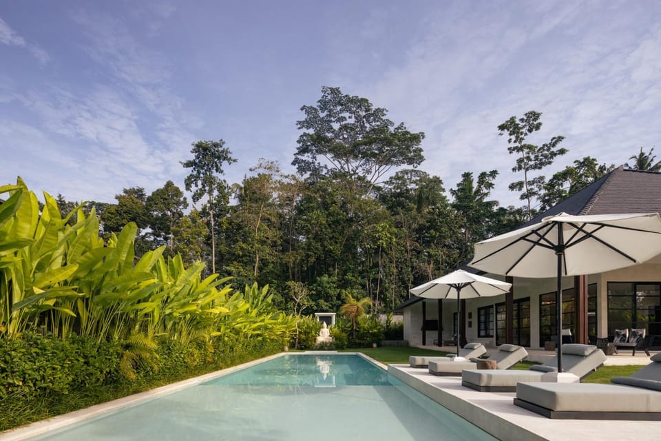Day, Natural landscape, Swimming pool, sunbed