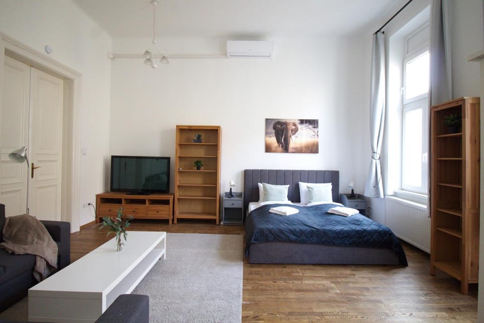 Bed, TV and multimedia, Photo of the whole room, Bedroom, air conditioner