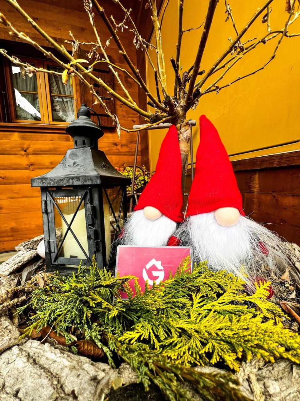 Apartment Aphrodite Ost with magnificent Eiger view Apartment in Grindelwald