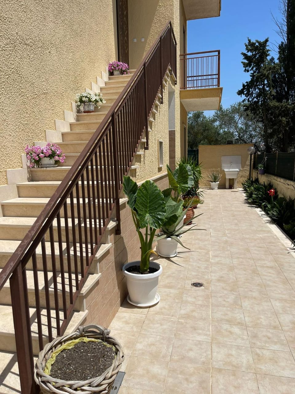 Garden view