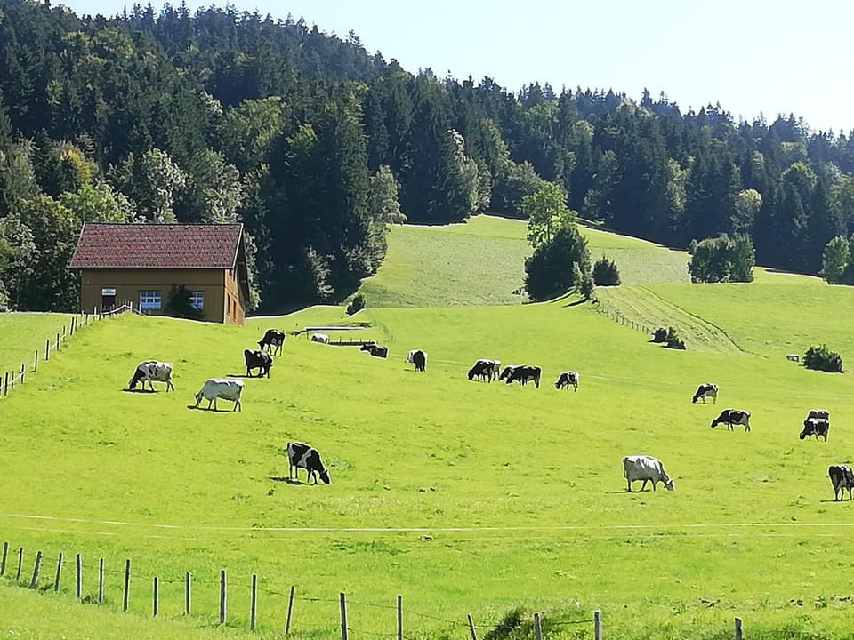 Gemütliches 2 Bettzimmer mit Gemeinschaftsbad und kleiner Küche Apartment in Vorarlberg, Austria