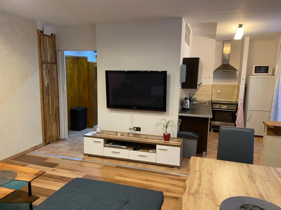 Apartmán Orlické hory Apartment in Czechia