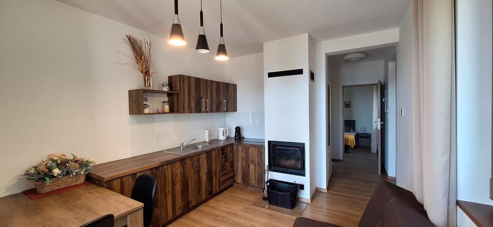 TV and multimedia, Kitchen or kitchenette, Living room, Seating area, Dining area, fireplace, pet friendly, stove