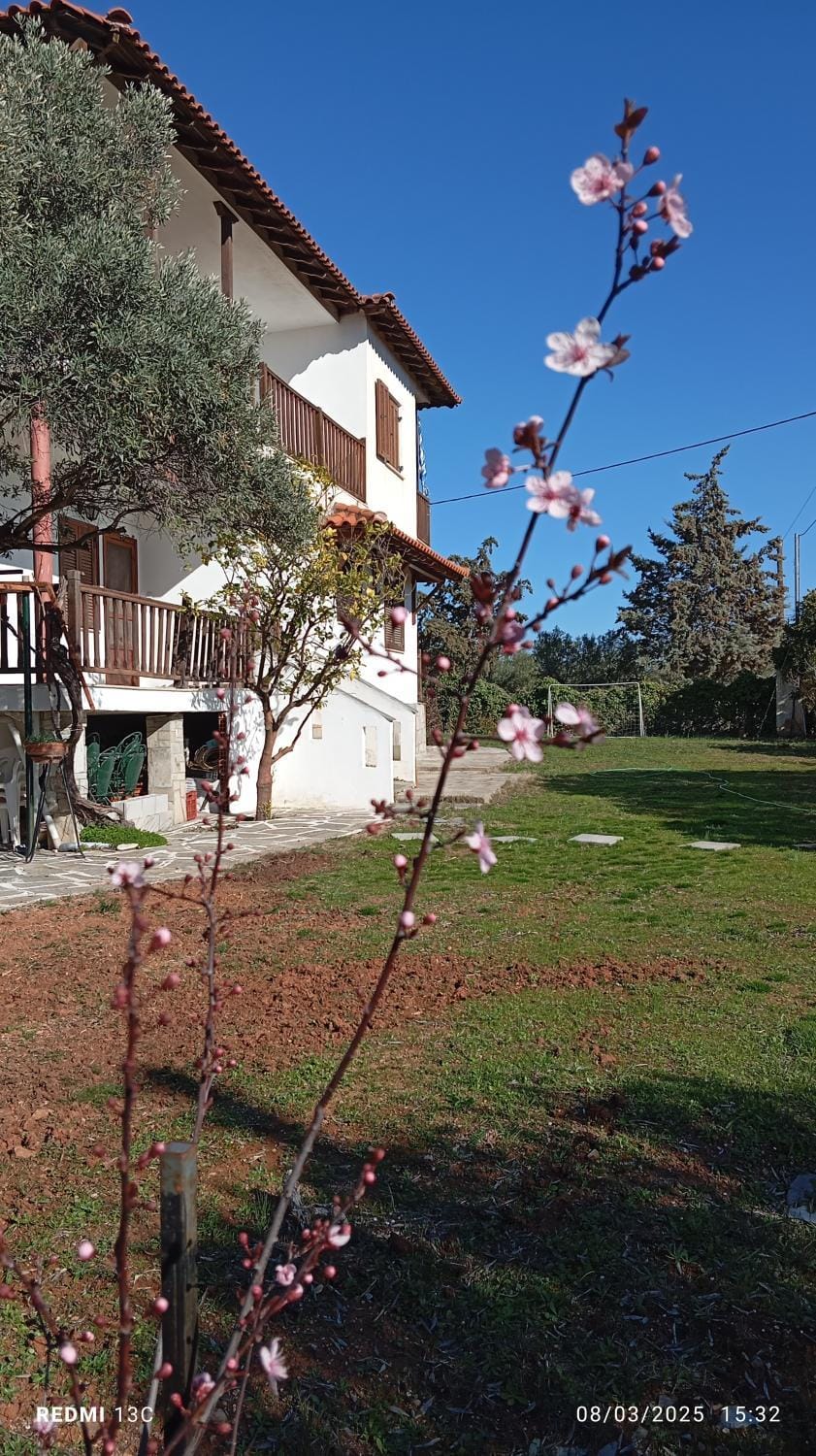 "STARDUST" Family House Apartment in Halkidiki
