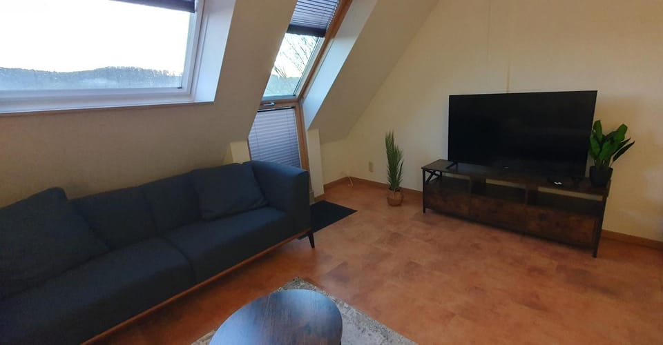 Communal lounge/ TV room, TV and multimedia, Living room