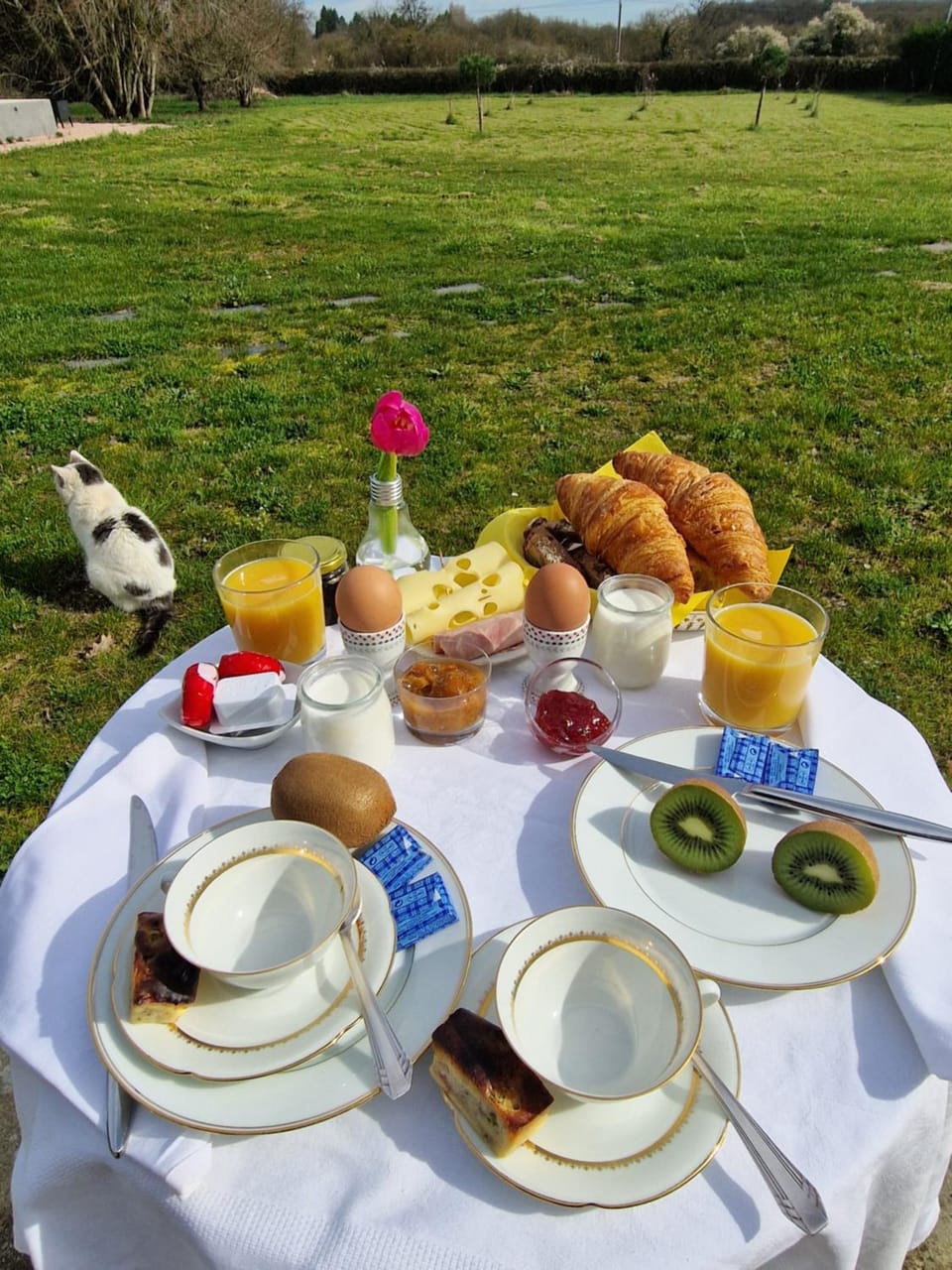 Day, Food and drinks, Food, Breakfast, Continental breakfast