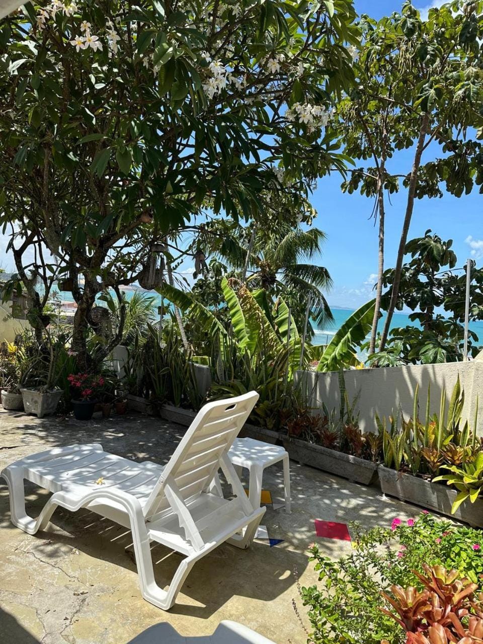 Patio, Natural landscape, Garden, Garden view
