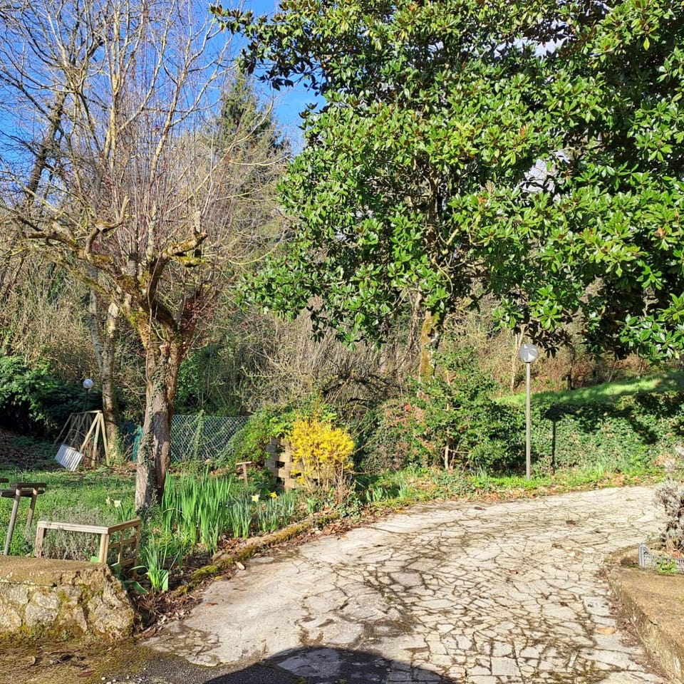 View (from property/room), Garden view