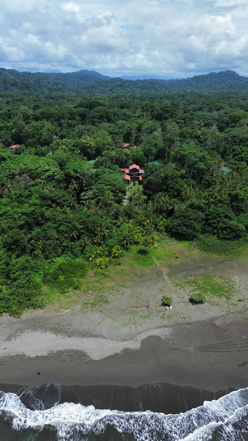 Bird's eye view, Beach