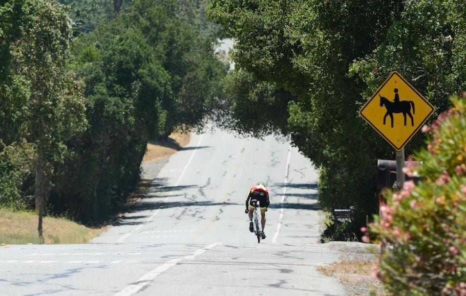 Gorgeous Retreat 5 Acres Paradise Villa in Woodside