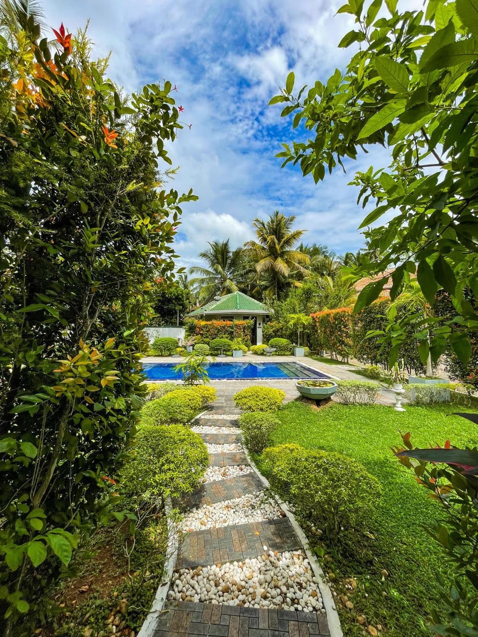 Day, Pool view, Swimming pool