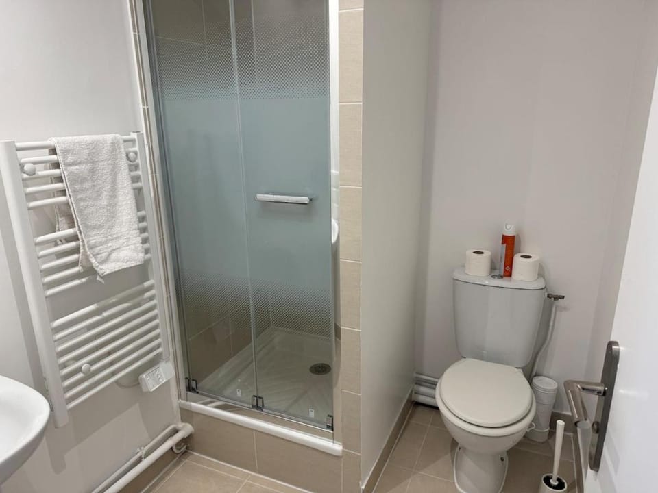 Shower, Toilet, Bathroom, towels