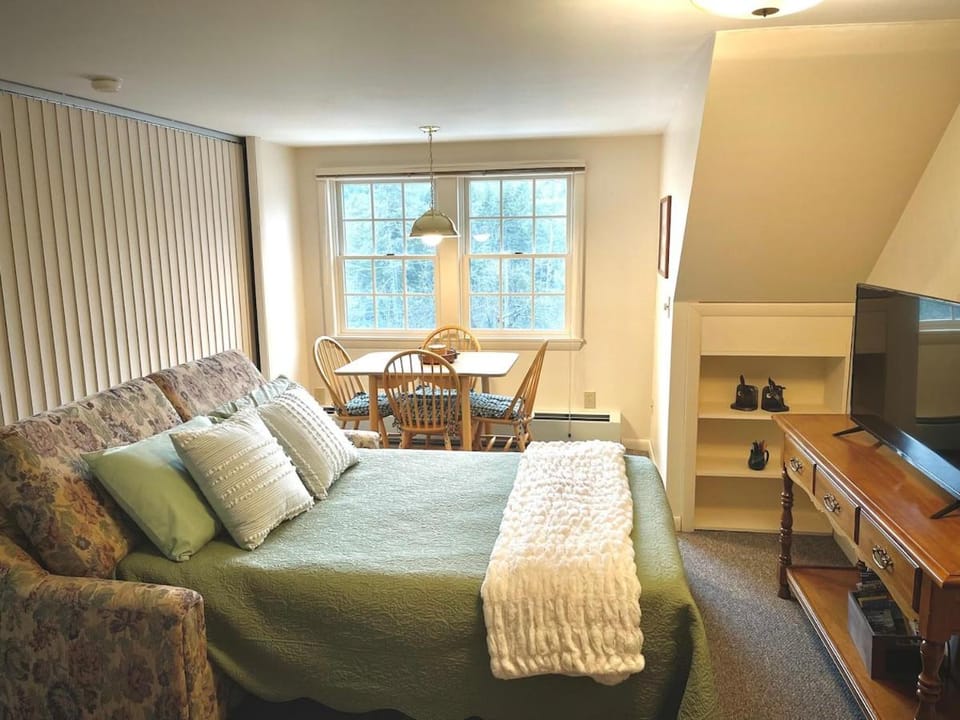 Peaceful Mtn Studio Pet-friendly Apartment in Woodstock
