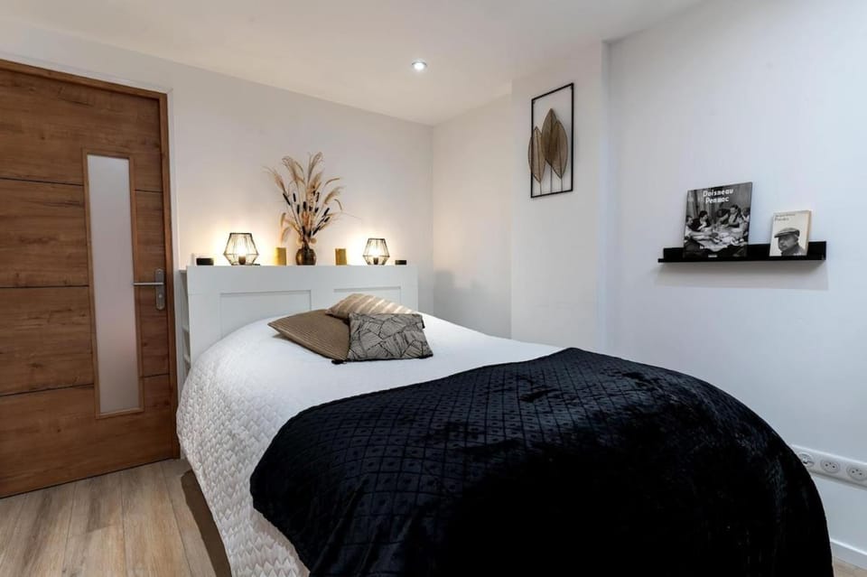 Appartement atypique et cosy centre-ville Apartment in Strasbourg