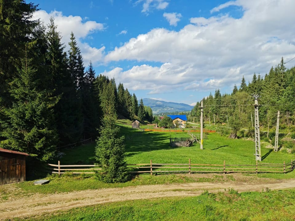 Day, Summer, Mountain view