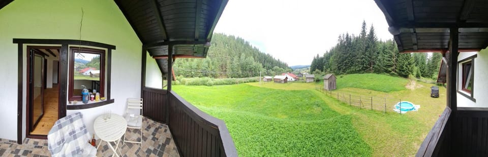 Day, Natural landscape, Garden, Garden, Balcony/Terrace