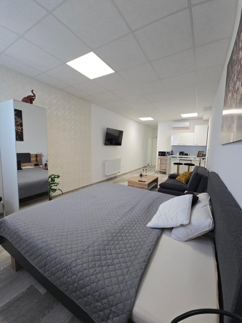 Photo of the whole room