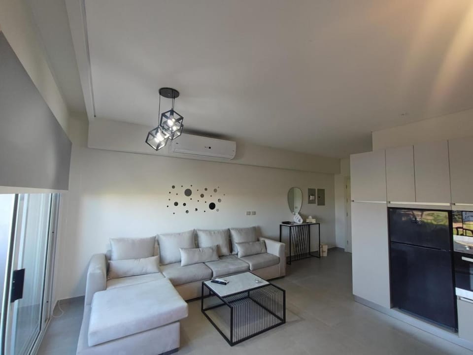 Living room, Seating area, air conditioner