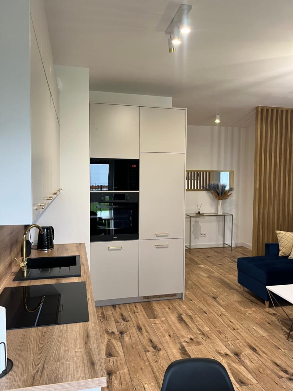 Kitchen or kitchenette, Dining area, oven, stove