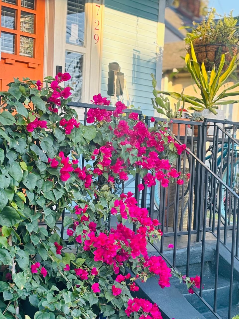 Charming Creole Cottage near French Quarter Apartment in New Orleans