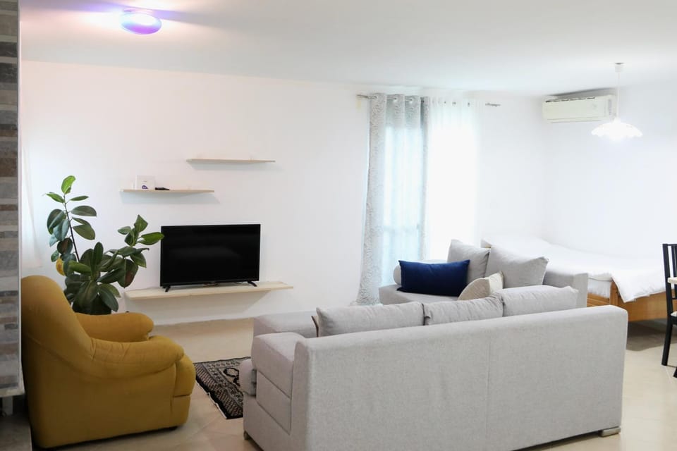 Communal lounge/ TV room, TV and multimedia, Living room, Seating area, Evening entertainment, air conditioner