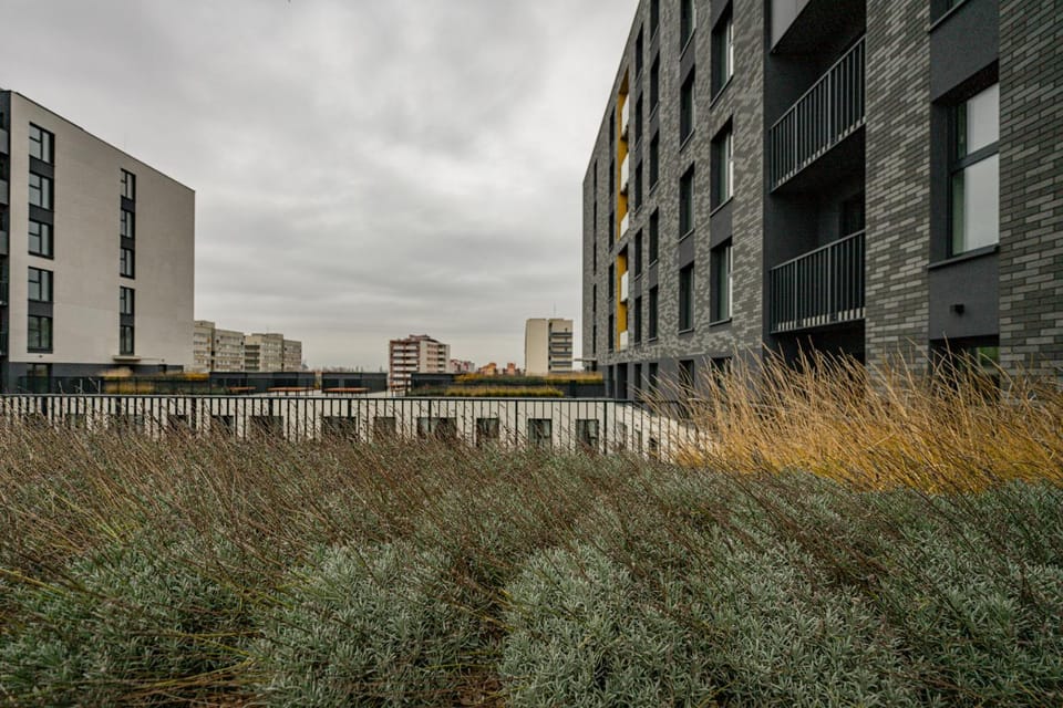 Property building, Patio, Garden, City view, Garden view