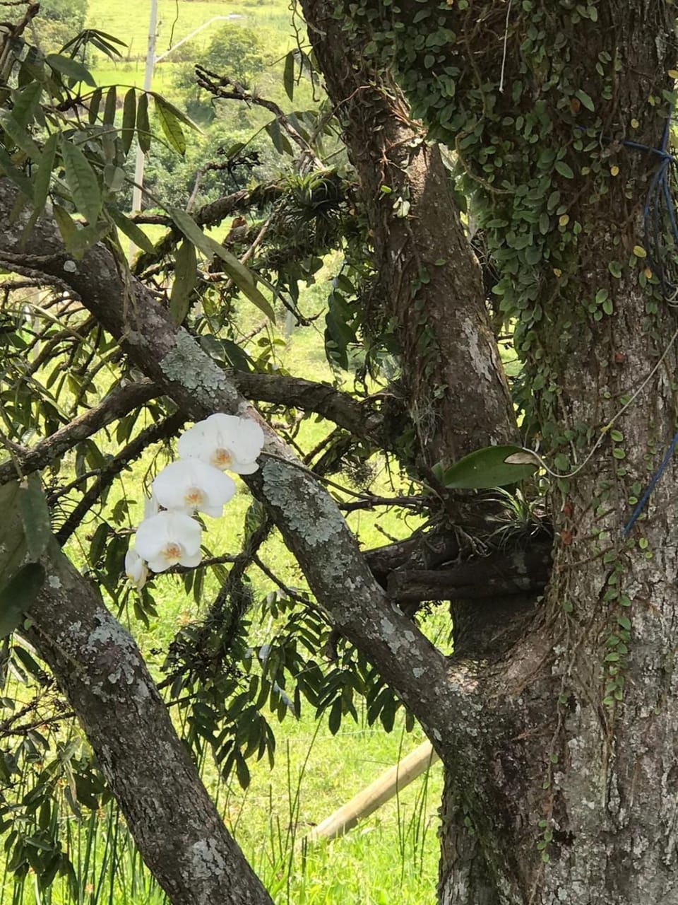 Ótima casa Garopaba House in Garopaba
