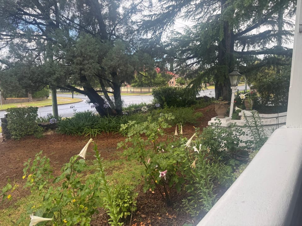 Garden view