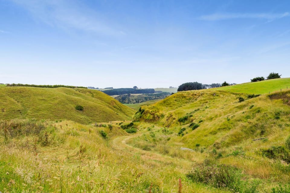 Natural landscape