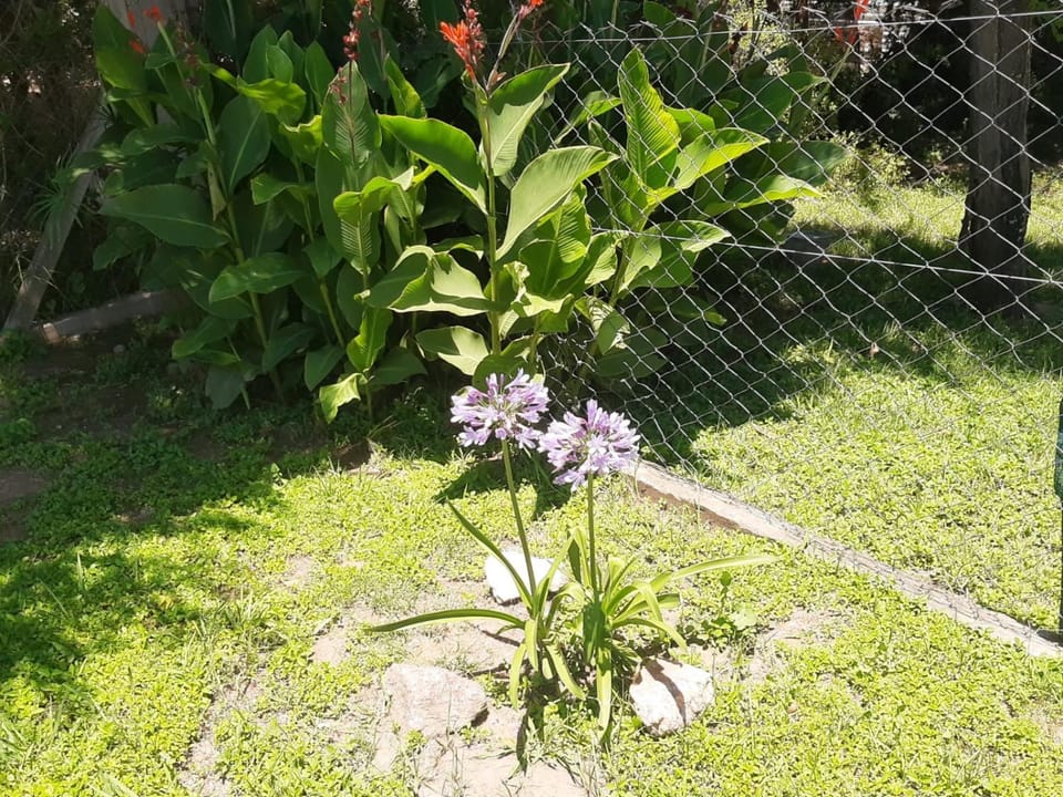 Garden, Garden