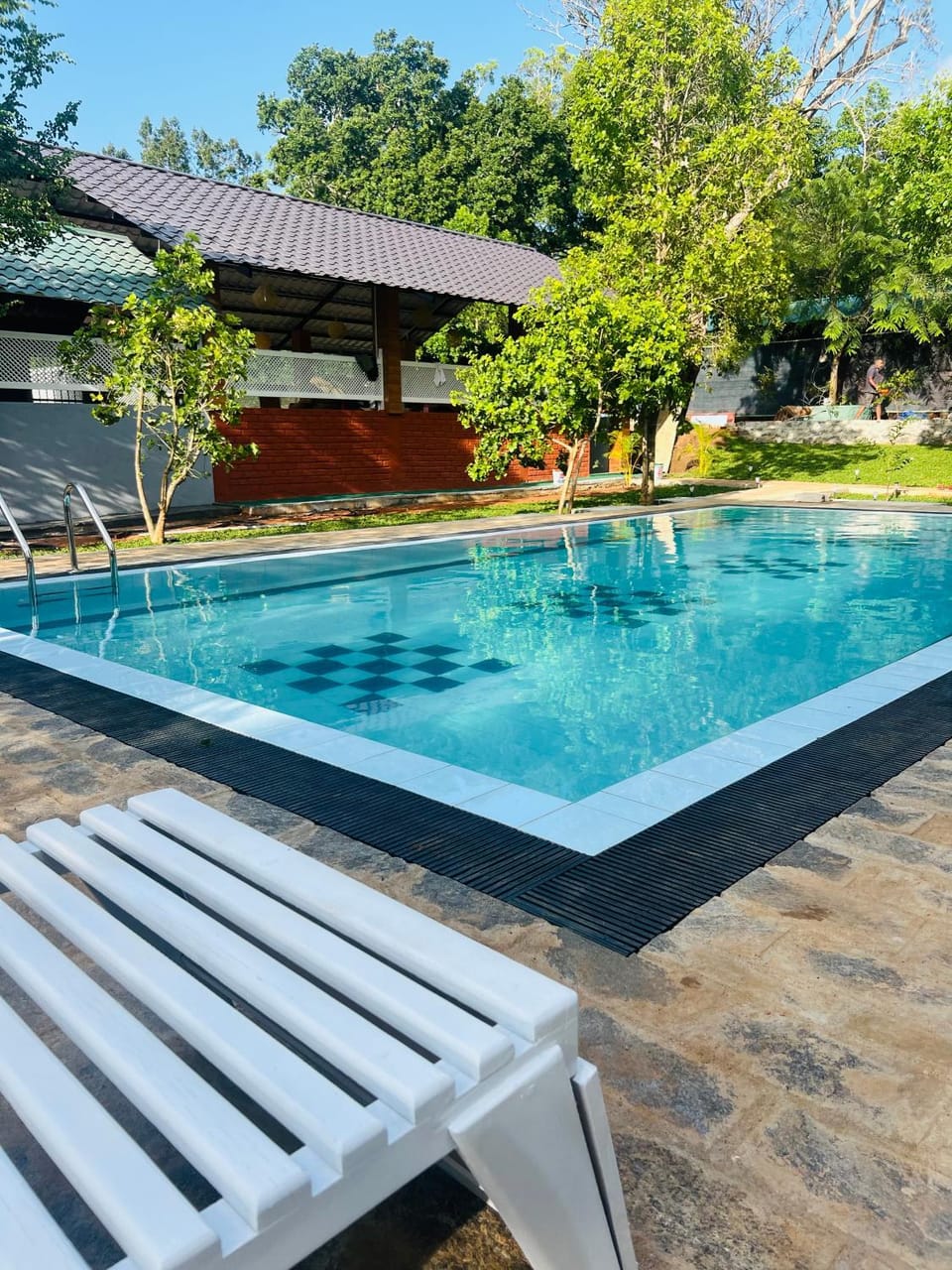 Garden, Garden view, sunbed