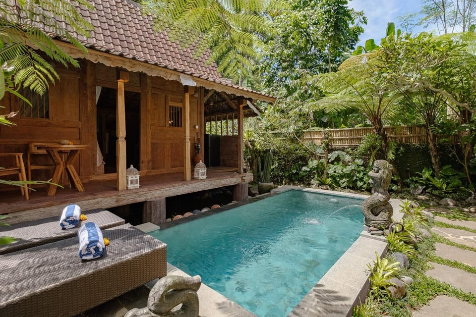 Property building, Garden, Garden view, Pool view, Swimming pool, sunbed