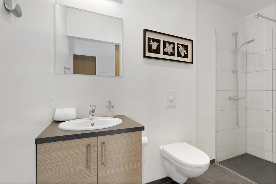 Shower, Toilet, Bathroom, towels