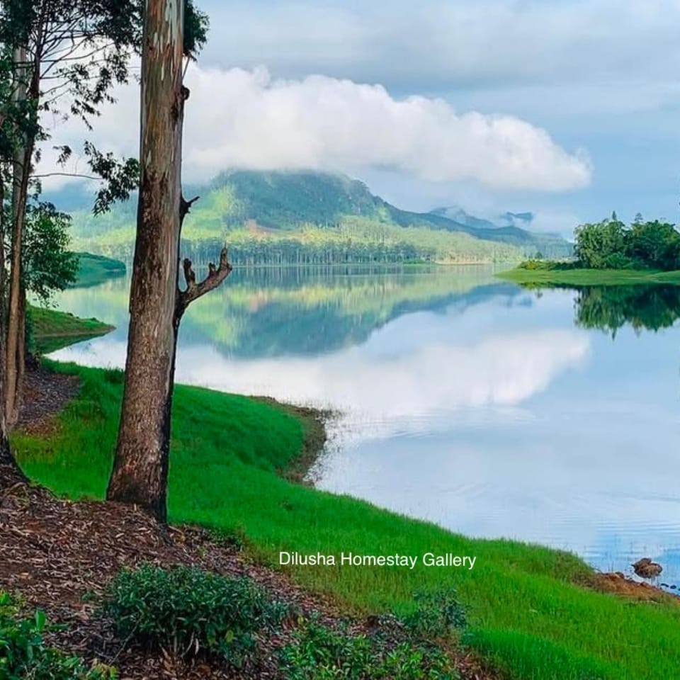 Dilusha Home Stay Bed and Breakfast in Central Province