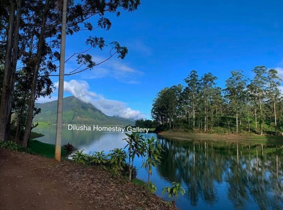 Dilusha Home Stay Bed and Breakfast in Central Province