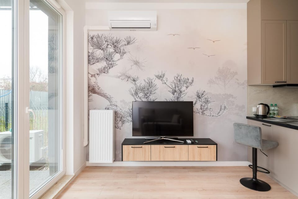 Communal lounge/ TV room, TV and multimedia, Kitchen or kitchenette, Evening entertainment, air conditioner