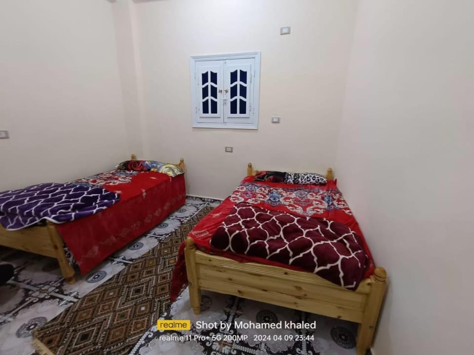 Amoun أمون Apartment in Egypt