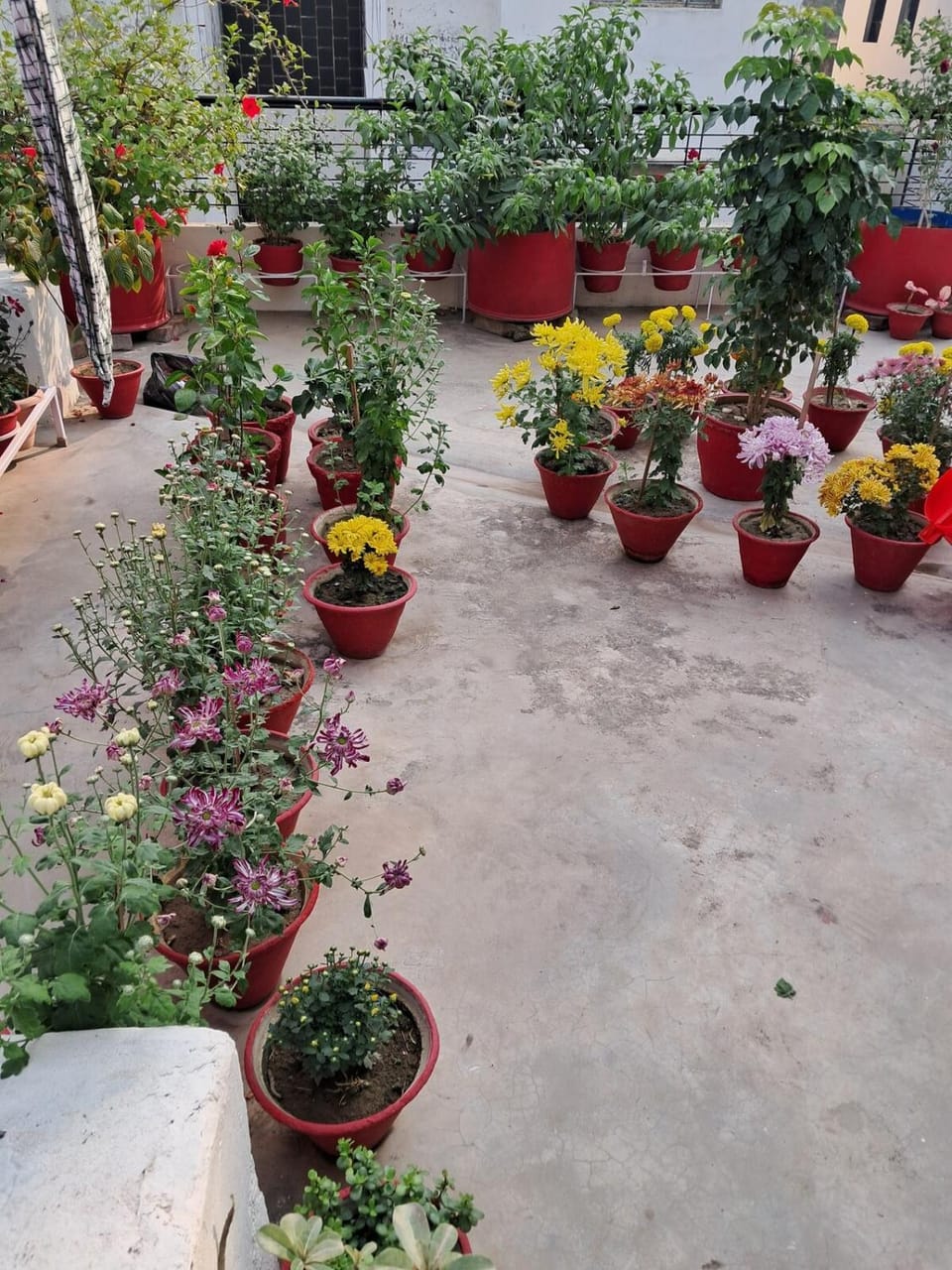 Sharda Home Stay Apartment in Varanasi