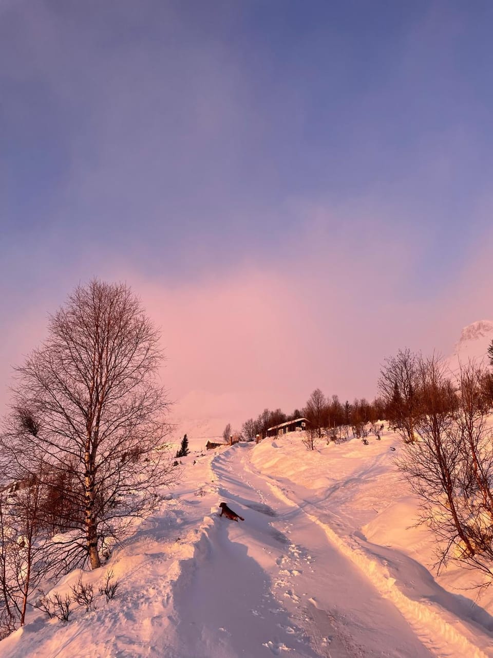 Day, Natural landscape, Winter