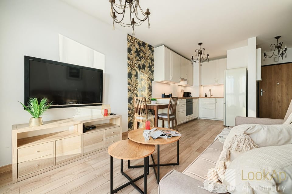 TV and multimedia, Kitchen or kitchenette, Living room, Photo of the whole room, oven
