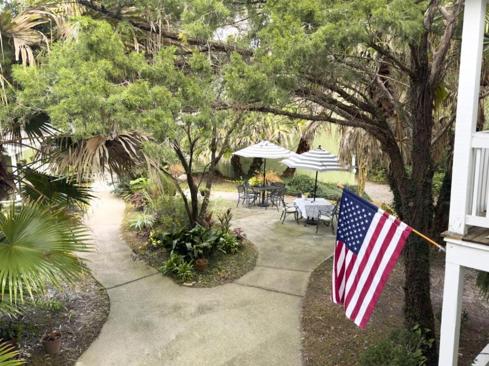 Day, Natural landscape, Garden, Garden view