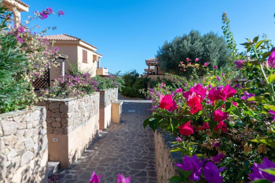 Spring, Summer, Garden, Autumn