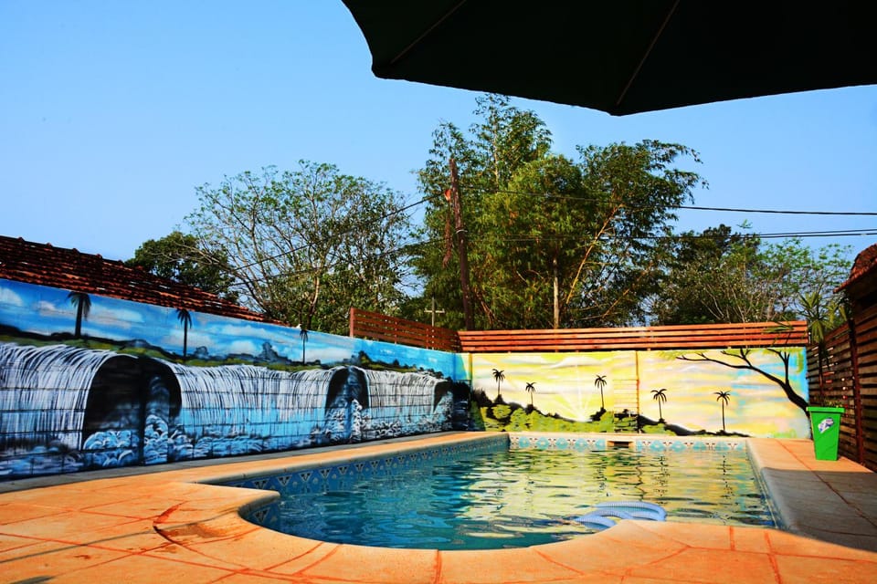 Activities, Activities, Other, Decorative detail, Area and facilities, Swimming pool, Swimming pool